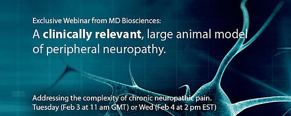 Webinar-Peripheral-Neuropathy-Model