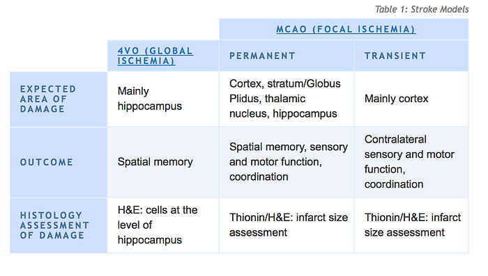 preclinical-stroke-models