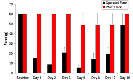 pain response in the new post-operative model, preclinical contract research, pre-clinical CRO, surgical pain model