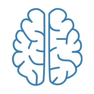 brain icon