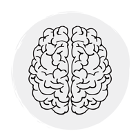 Biomed cognition-3