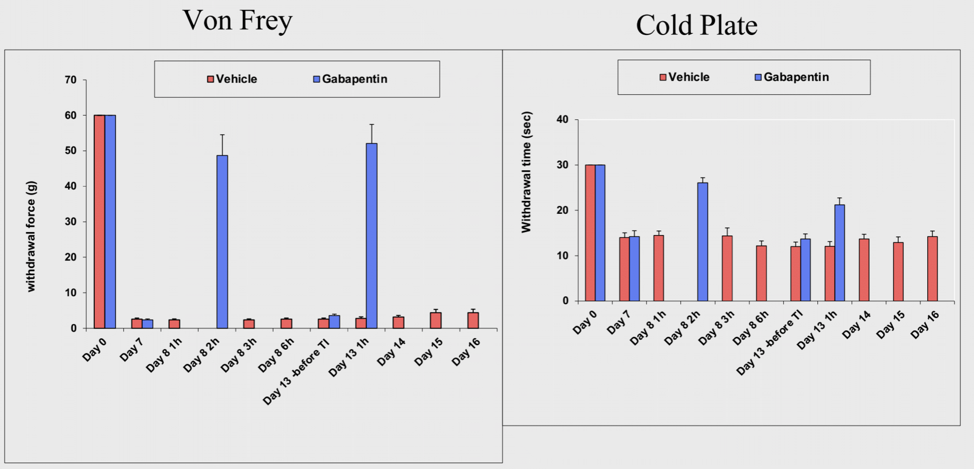 CCI model in rats