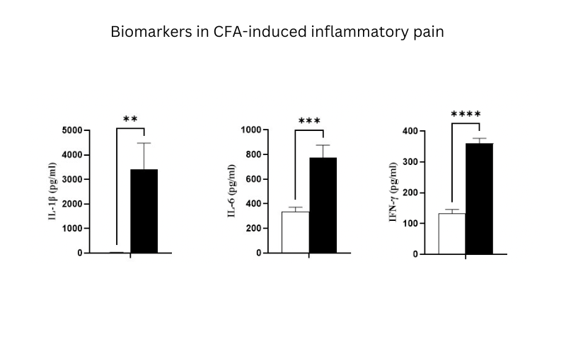Biomarkers in CFA-induced inflammatory pain (800 × 500 px)