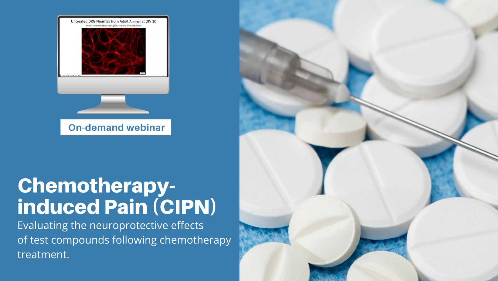 CIPN Webinars