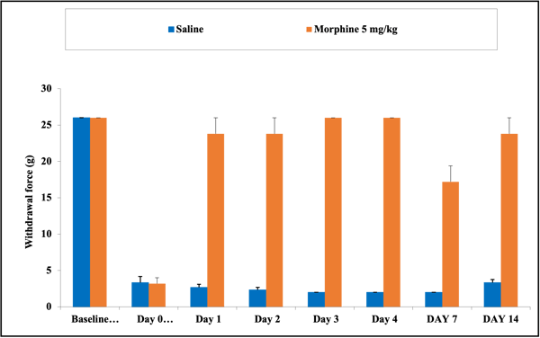 CPIP model_Von Frey