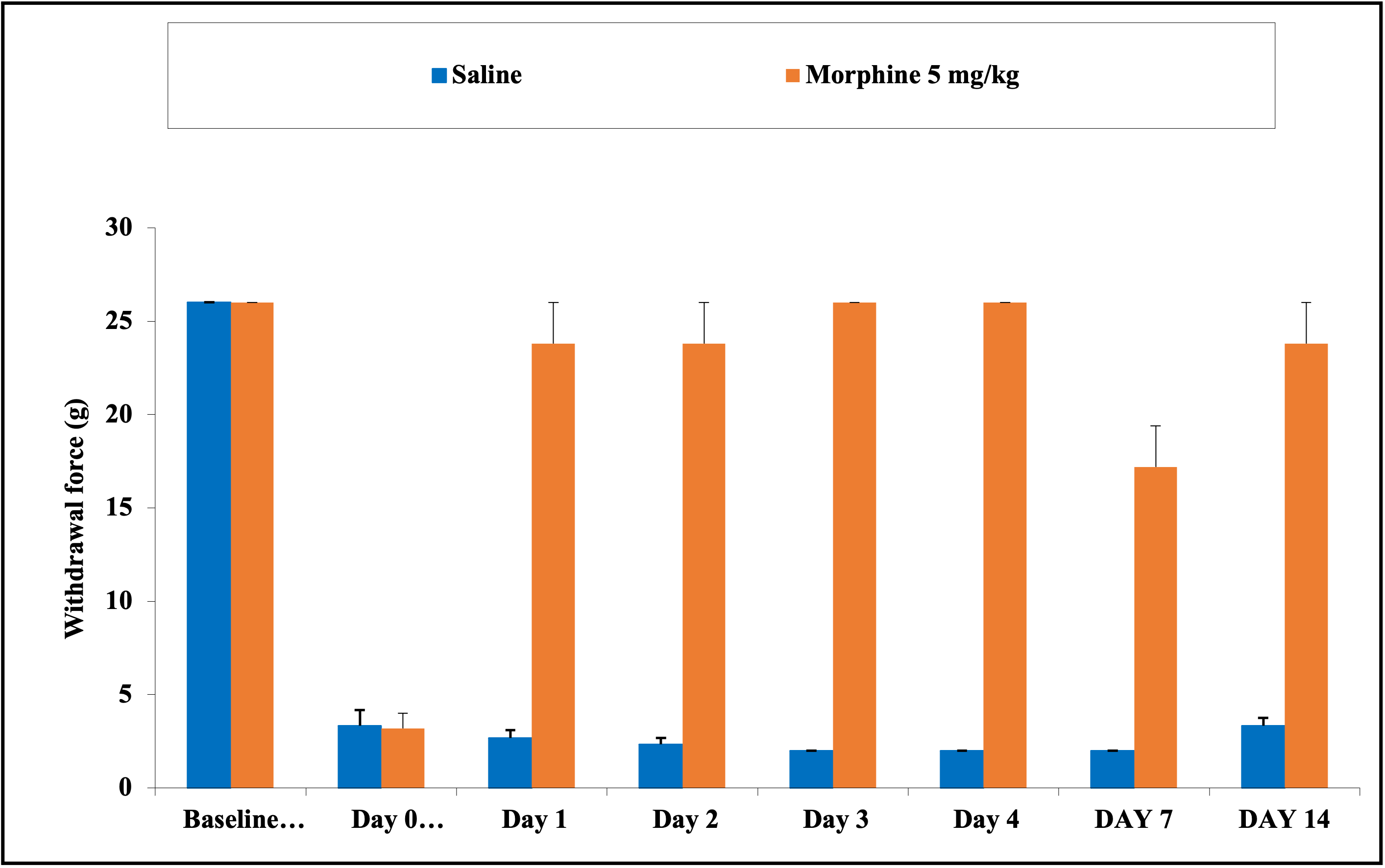 CPIP model_Von Frey