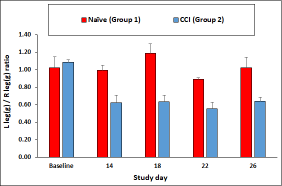 Dynamic weight bearing_CCI model_MD Biosciences