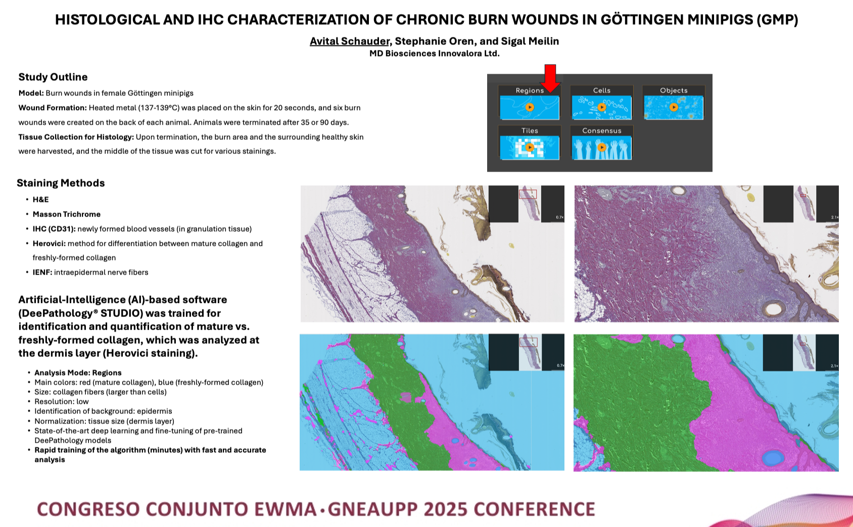 EWMA Poster 2025-2-1