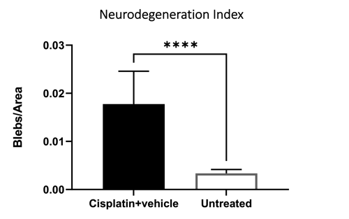CIPN neurodegeneration