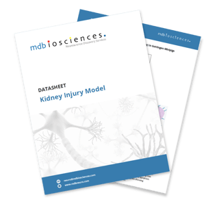 Kidney Injury Image (2)