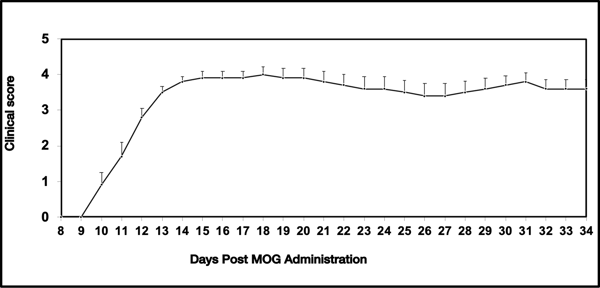 MOG-induced EAE_clinical score_MD Biosciences