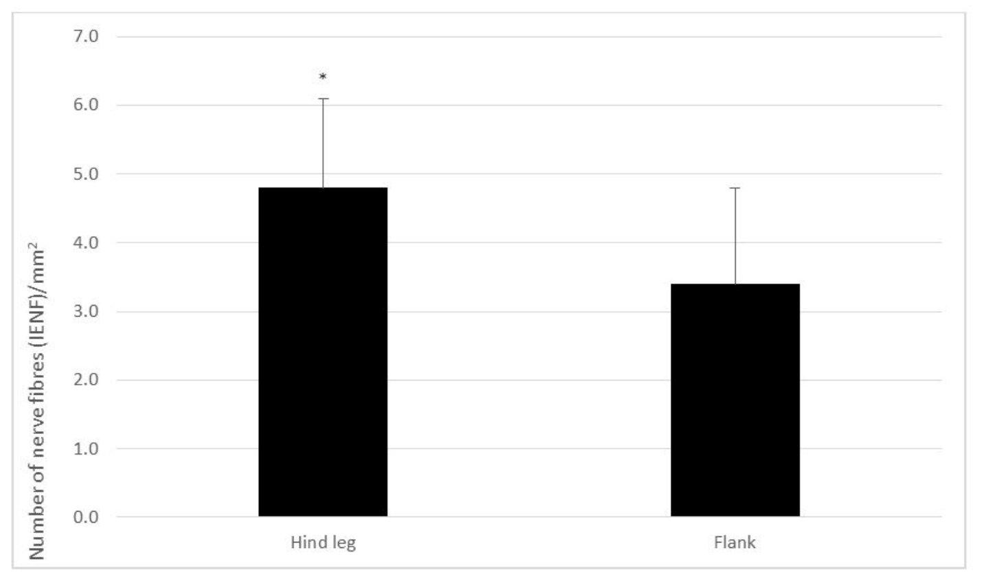 intraepidermal nerve fiber density in the translational pig model of post-operative pain by MD Biosciences, a preclinical CRO specialized in pain models and neurodegneration