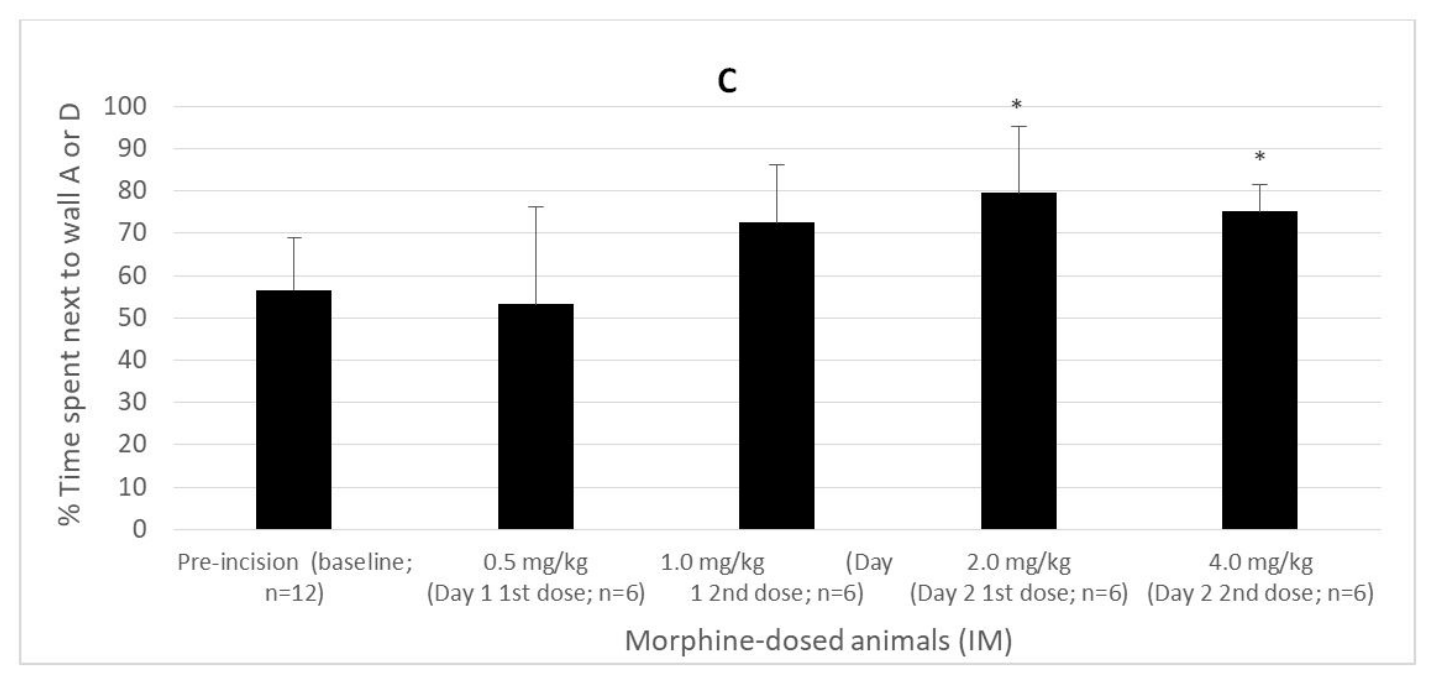 data showing walking pattern of morphine treated minipigs in the translational pig model of post-operative pain by MD Biosciences, a preclinical CRO specialized in models of neurodegeneration, CNS, and pain