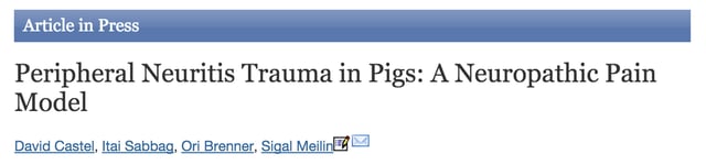 Peripheral Neuritis Trauma in Pigs Publication