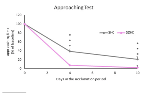 approaching-test