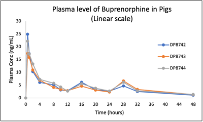Pig PK_buprenorphine_linear plasma