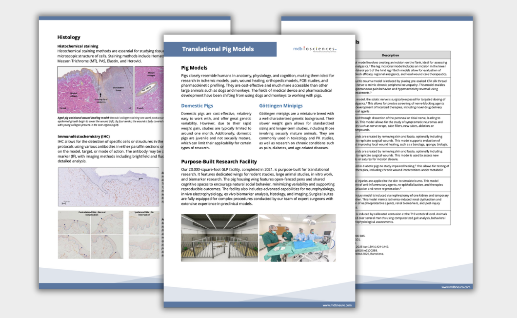 Translational Pig Models