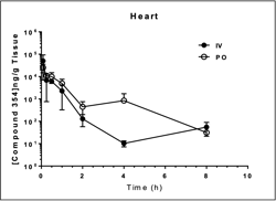 Rodent PK_Heart