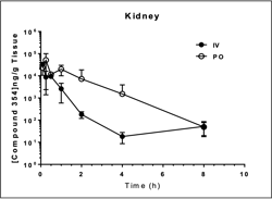 Rodent PK_Kidney