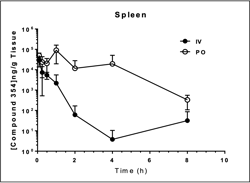 Rodent PK_Spleen