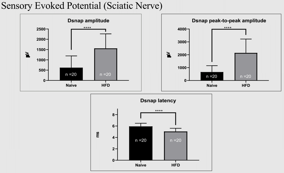 SEP_HFD neuropathy_mdbiosciences