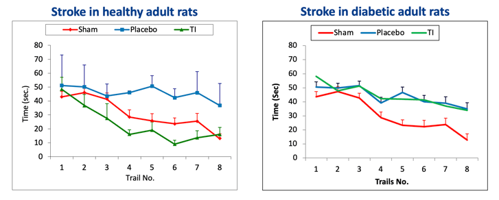 Stroke in diabetic animals