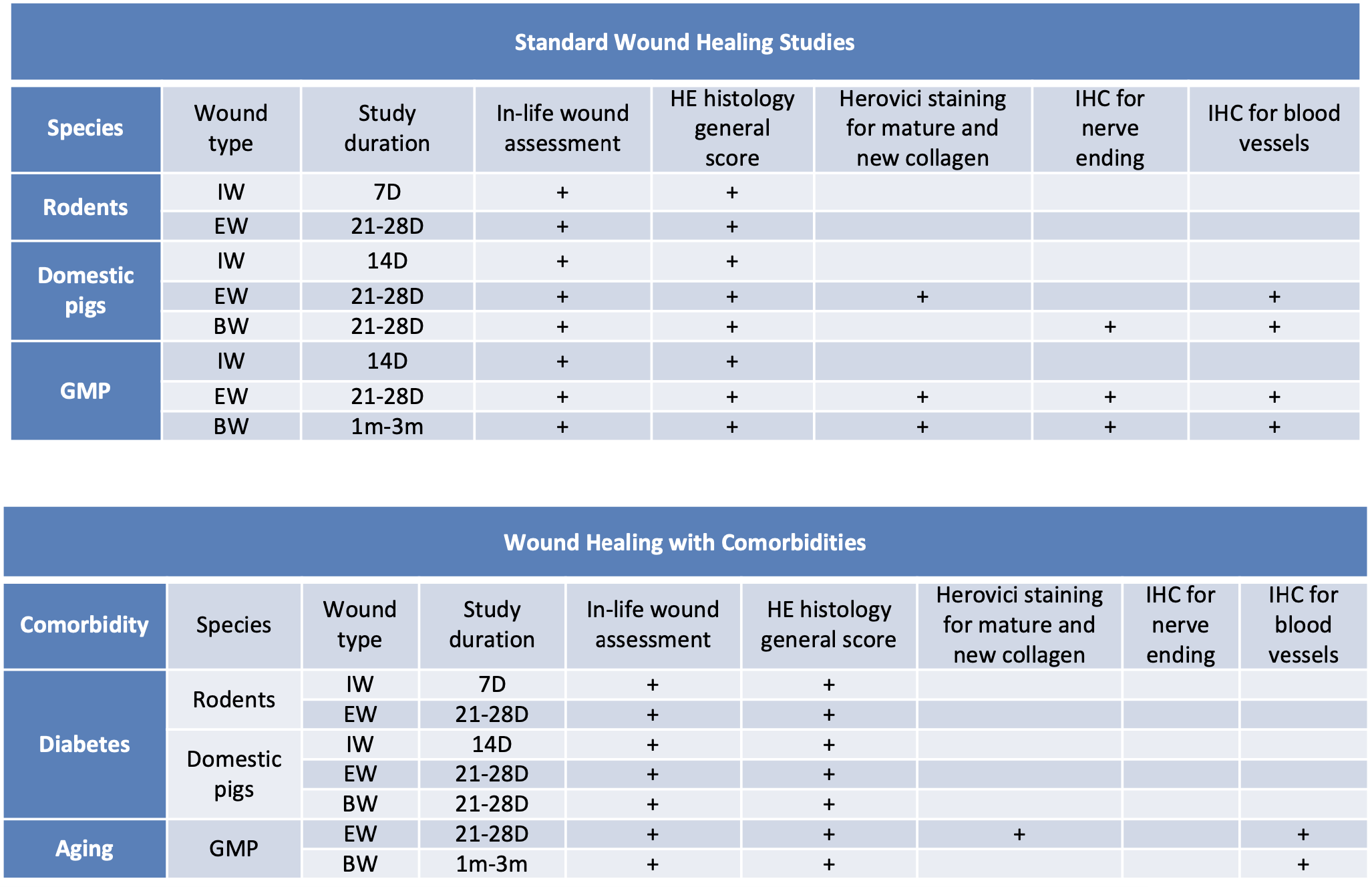 Wound Healing Models