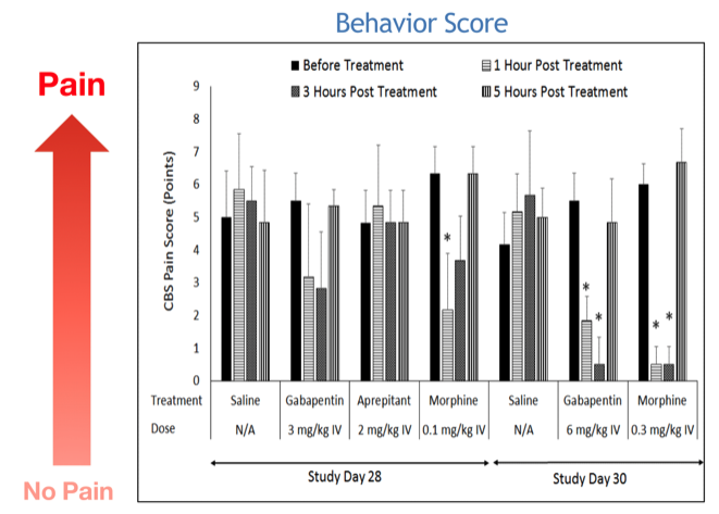 behavior score pig PNT model