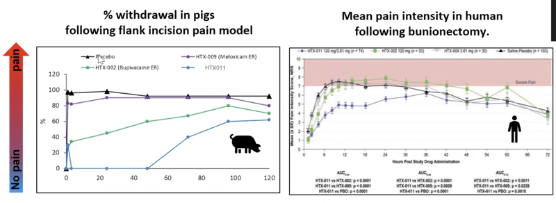 comparative preclinical and clinical data pain