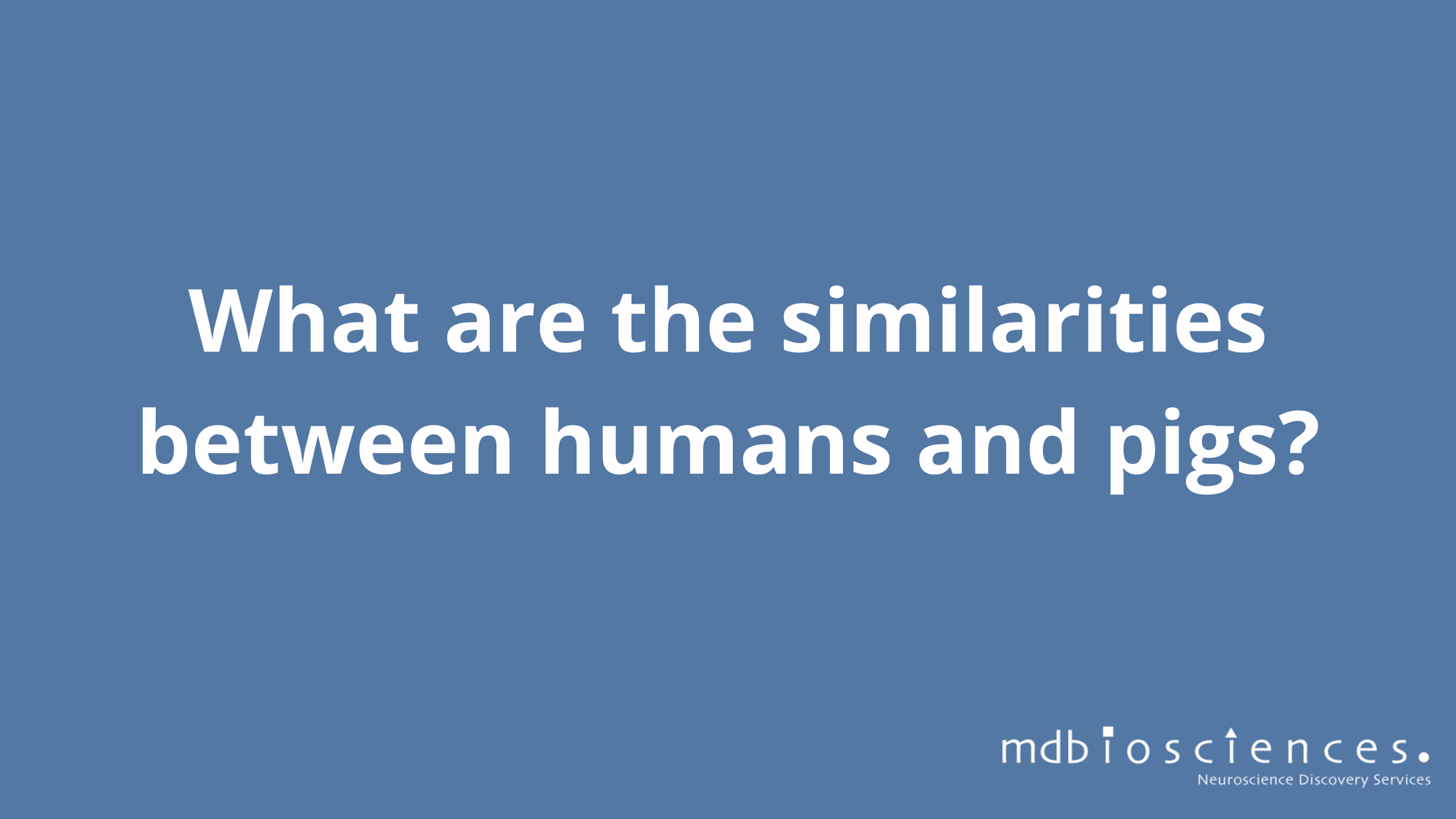 humans and pigs