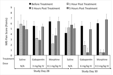 Gabapetin_Behavior_Score