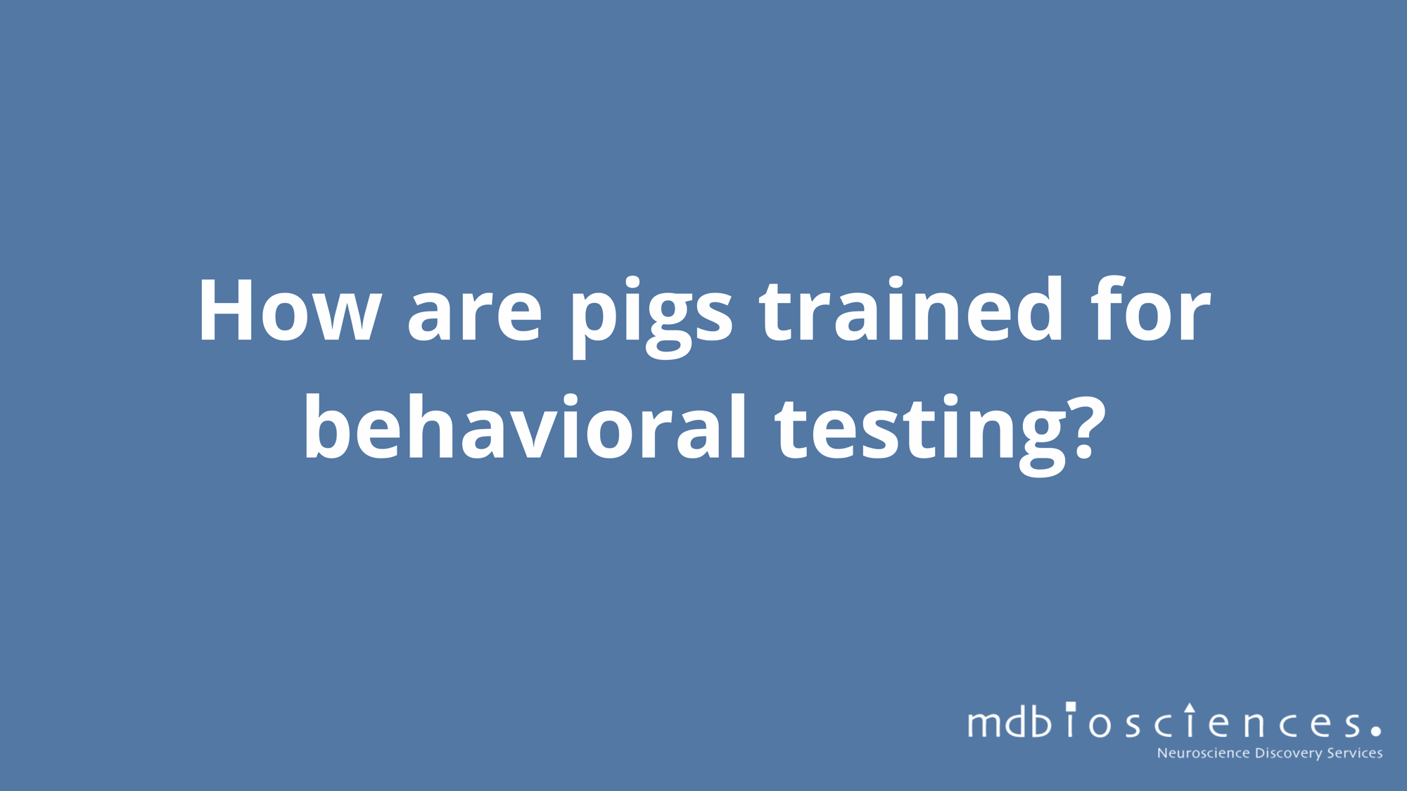 pig training