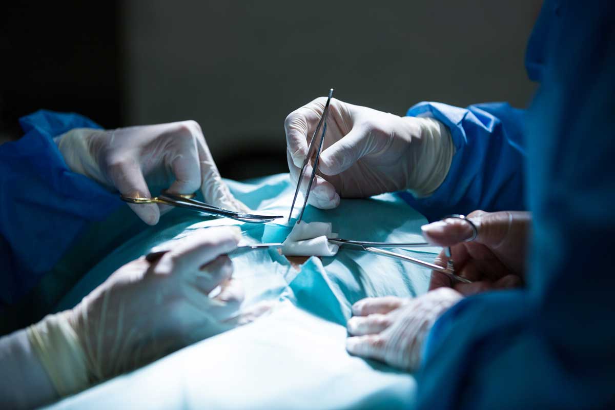 Preclinical Postoperative Pain Model Resembles Human Physiology